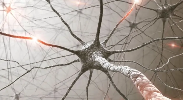 Neruda 300 mg Nedir, Ne İşe Yarar, Nasıl Kullanılır, Kimler Kullanır ve Yan Etkileri Neler? Fiyatı...