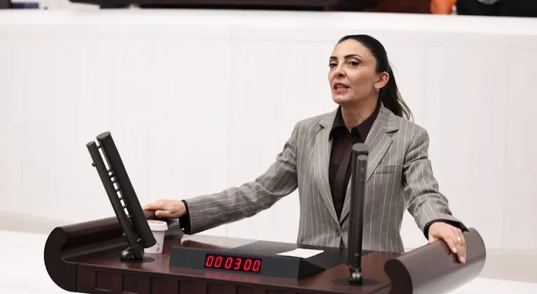 Nurhayat Altaca Kayışoğlu: “Özgür sanat olmadan demokrasi olmaz”