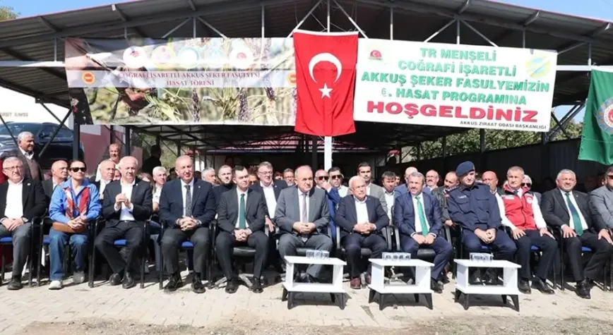 Ordu'da 