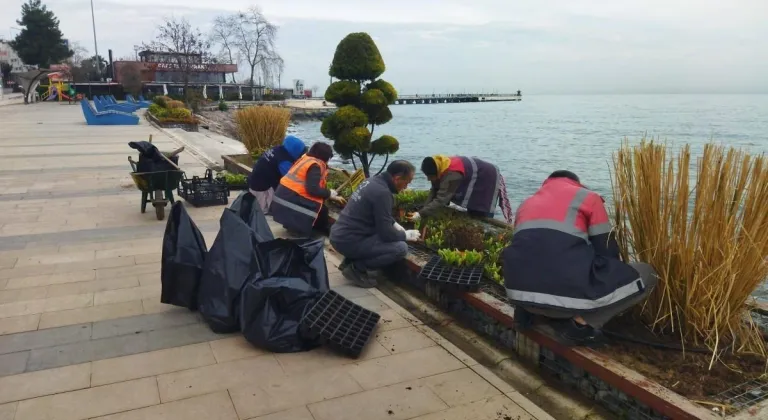 ORDU'DA DALGALARIN VERDİĞİ TAHRİBAT ONARILIYOR