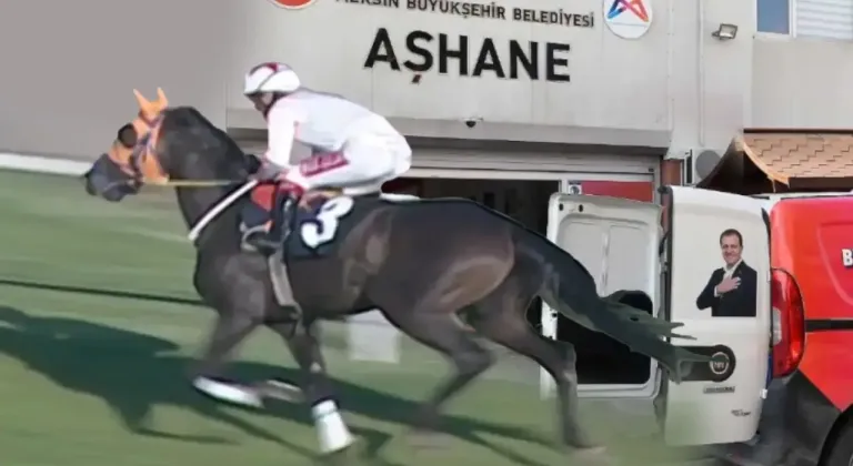 Şampiyon at nasıl kavurma oldu? Latch’ın başına gelenler gün yüzüne çıktı
