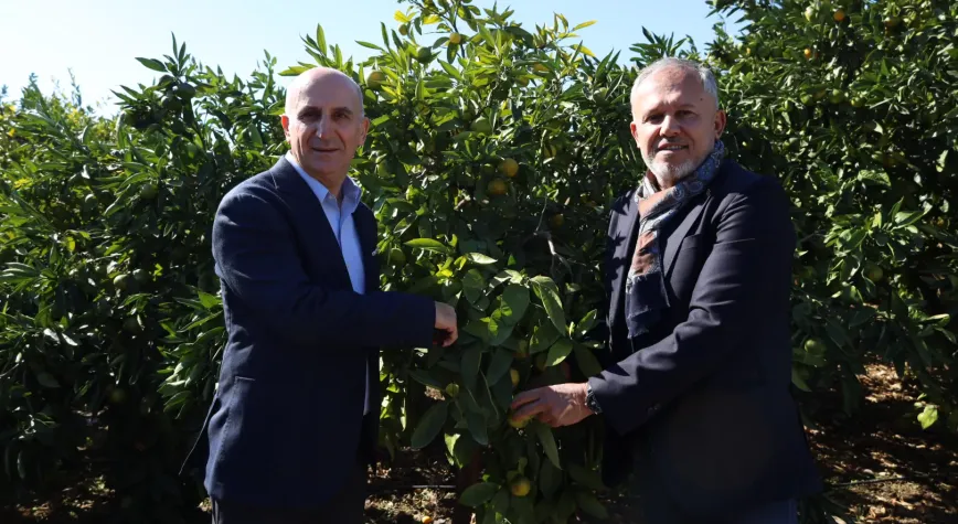 Satsuma Mandalinanın İhracat Yolculuğu Başladı