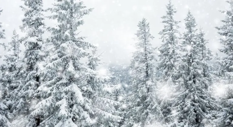 Siirt okullar tatil mi? 31 Aralık yarın Siirt okullar tatil mi?