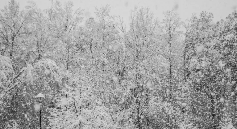 Şırnak okullar tatil mi? 2 Ocak yarın Şırnak okullar tatil mi?