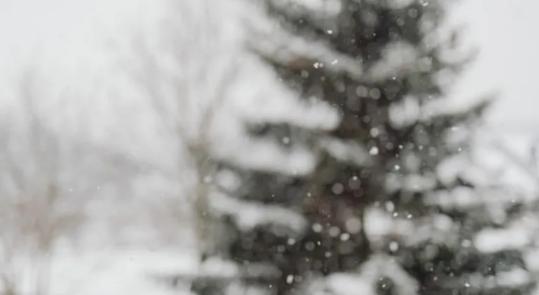 Sivas’ta yarın okullar var mı yok mu? 12 Ocak 2026 okullar tatil mi?