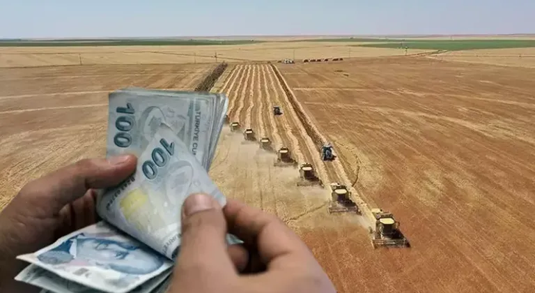 Tarım Bakanlığı Destekleme müjdesi: 2026 destek ödemeleri ne zaman ve ne kadar yatacak?