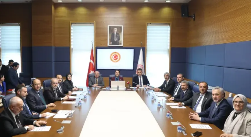 TBMM İnsan Haklarını İnceleme Komisyonu'nda Başkan Vekili seçildi