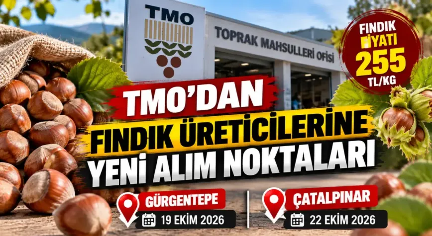 TMO, Ordu'da iki yeni noktada fındık alımına başladı