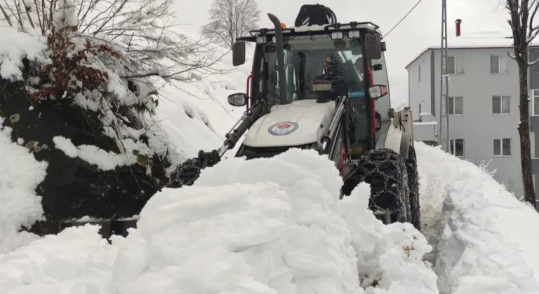 Trabzon Büyükşehir'in kış mesaisi başladı