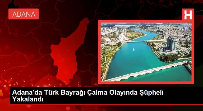 Türk bayrağını çaldığı öne sürülen kişi serbest kaldı
