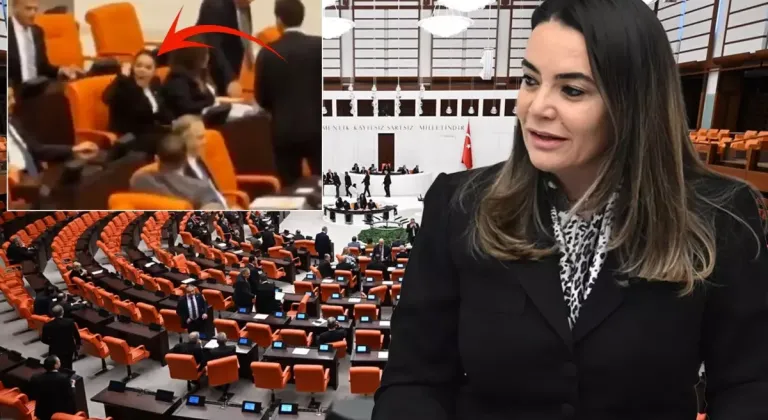 Türkeş'in kızının Öcalan için söyledikleri Meclis'i karıştırdı