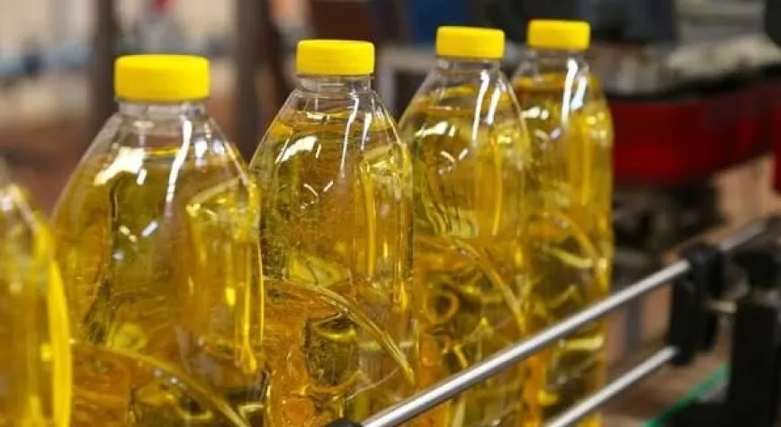 Türkiye'nin Ayçiçeği Yağı İhracatı Ocak-Eylül'de Yüzde 17,9 Arttı