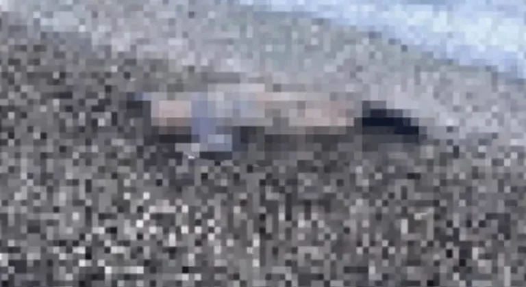 Tüyler ürperten manzara! Sahile vurmuş çocuk cesedi bulundu