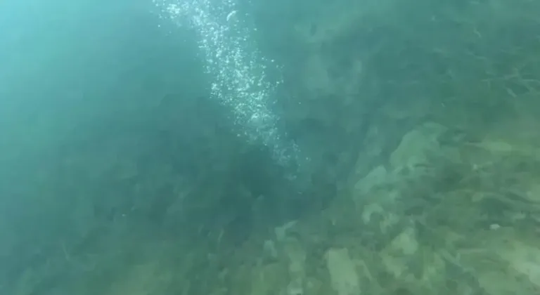 Uzmanlar hemen bölgeye akın etti... Depremin habercisi mi? Sapanca...