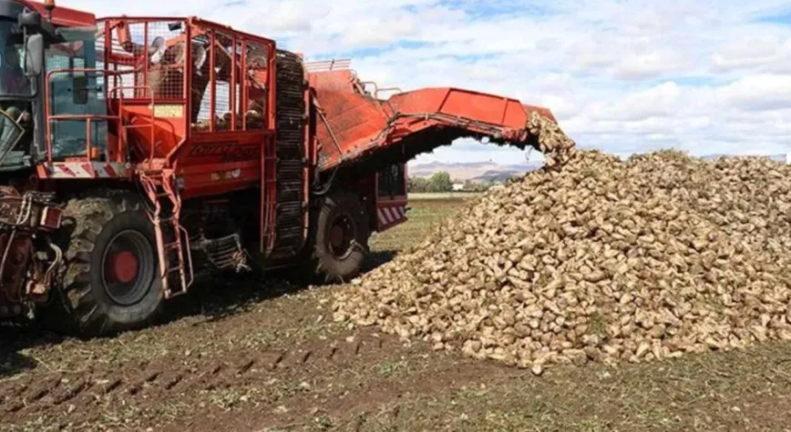 Konya Ovası'nda Hasat Verimleri Yüksek, Yeni Alım Fiyatı Çiftçiyi Rahatlattı
