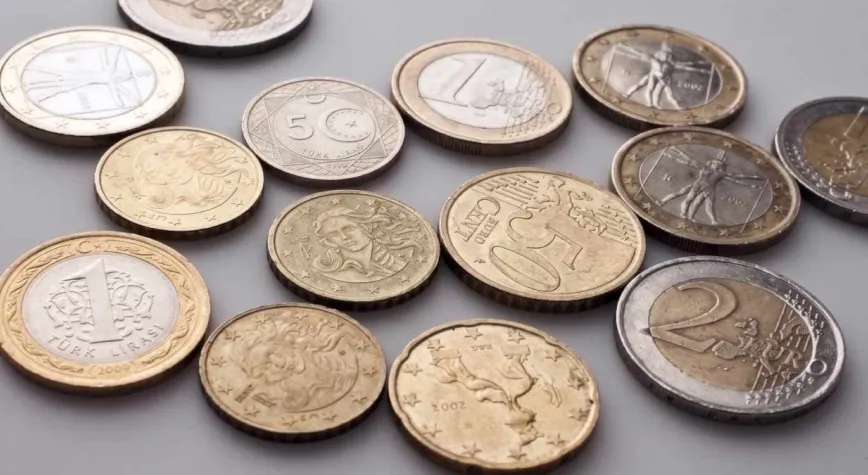 Bu parayı getirene 280 bin lira verilecek
