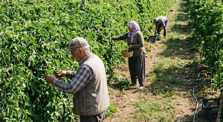 Brezilya'nın hazinesi artık Türkiye'de: İki ilde üretim üssü kuruldu