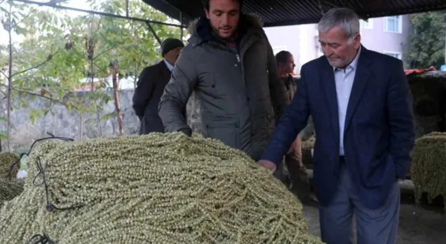 Manşet Resmi