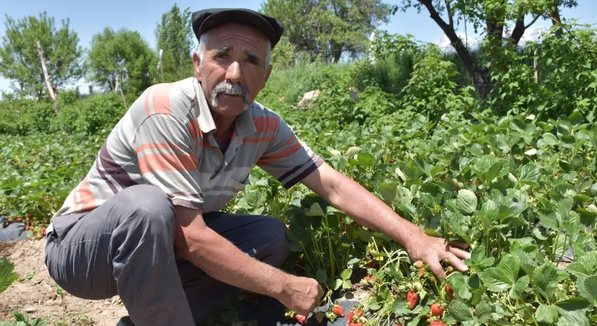 Manşet Resmi