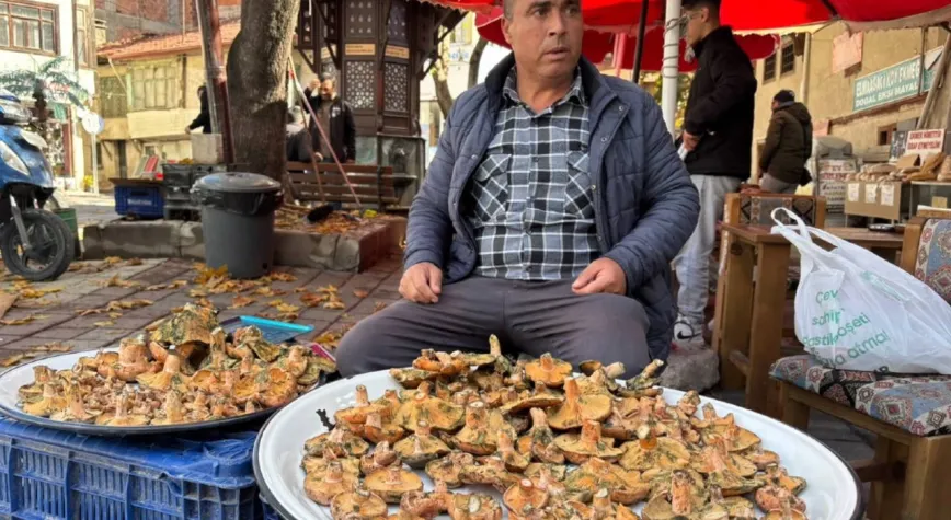 Dağ köylülerinin geçim kaynağı: Hasadı kar yağana kadar sürecek