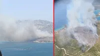 İzmir'de ormanda yangın! Gökyüzünü duman kapladı
