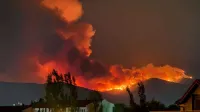 İzmir'in 2 ilçesinde orman yangını! 3 kişi hayatını kaybetti